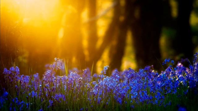 боже, яка краса