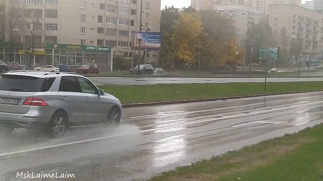 Дождь, грибы и лужи смотреть онлайн