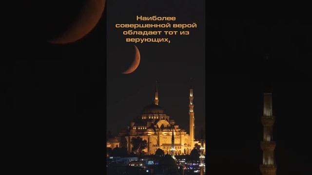 5 мудрых хадисов смотреть онлайн