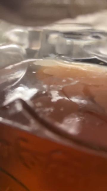 Комбуча или чайный гриб #kombucha #amazon #приключение #florida смотреть онлайн