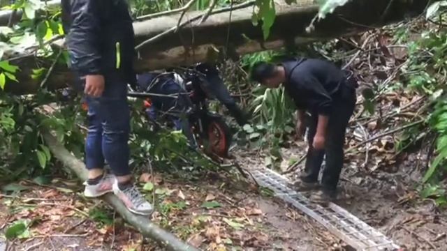 | MEMORI POKOK TUMBANG | BER-SUKA BER-DUKE RIDE FRASER HILL | DUKE 390 | смотреть онлайн
