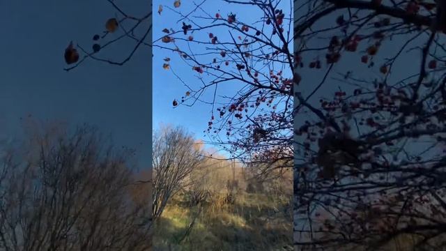 Один осенний день в 2022 году…