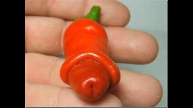 Stevie Wonder SIGNED SEALED DELIVERED 2020 Remix - 3 WAY BUSY MIX by XXXMASHUP смотреть онлайн