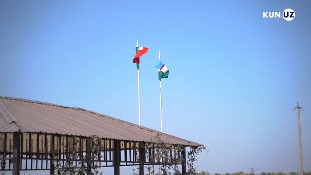 O‘zbekiston Zafaron Yetishtirishda Dunyo Yetakchisiga Aylanmoqchi