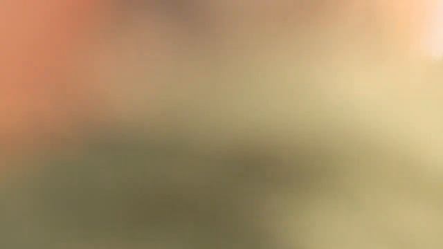 Svirrefluetræk i Danmark - Hoverfly migration in Denmark смотреть онлайн
