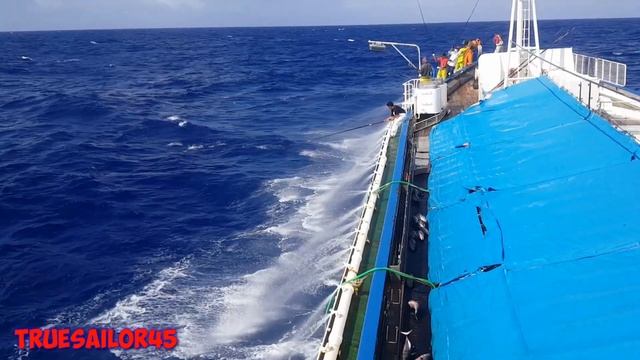 Ikan Yang Kelaparan‼Dan Keahlian Mancing Tuna Cakalang/Katshuo Tercepat Mengerikan Ikanya gak habis смотреть онлайн