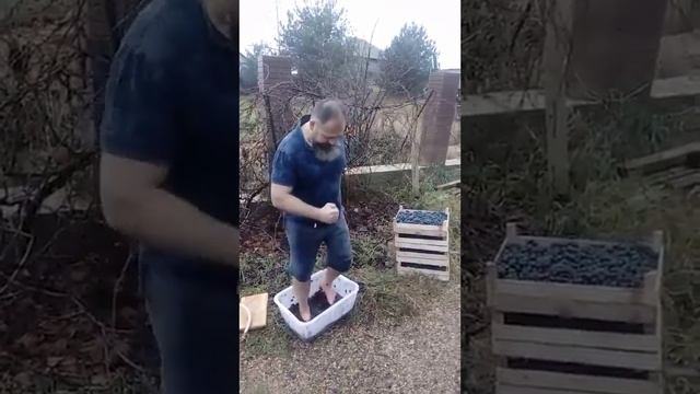 Записываемся на пилинг!