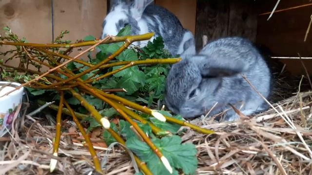 кушаем)) смотреть онлайн