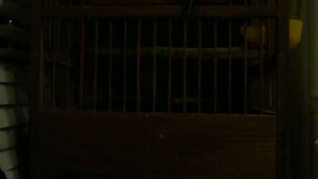 песня южного соловья.MOV смотреть онлайн