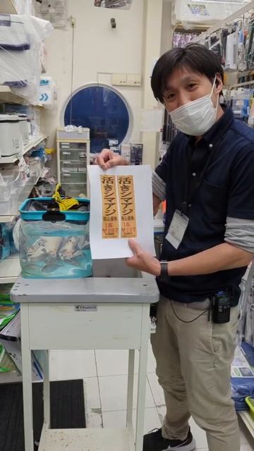 【垂水店】のませ釣りに最適！活きシマアジ緊急入荷！ смотреть онлайн