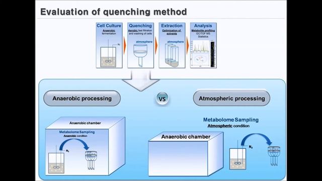 B&B: Atmospheric Vs. Anaerobic Processing Of Metabolome Samples In Clostridium Acetobutylicum