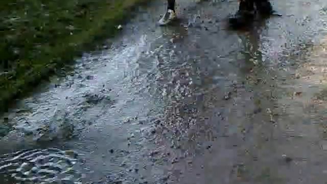 Отжиг в луже :D.wmv смотреть онлайн