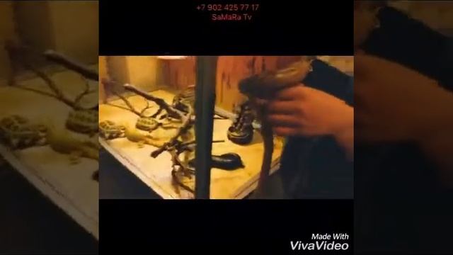 Видео ролик По комментарии