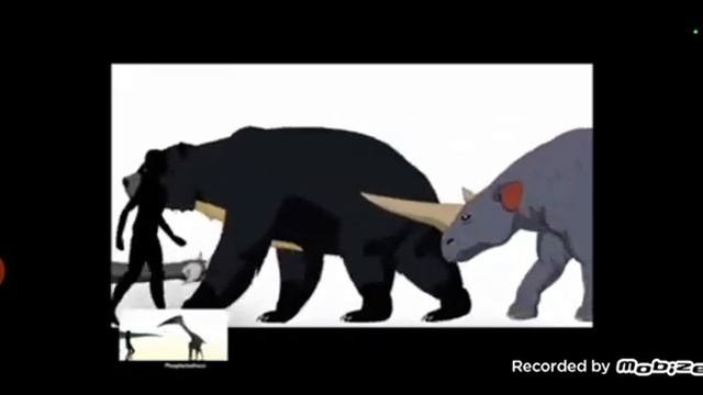 Cezinoc Beasts Size Comparison Spinosaurus And Whale