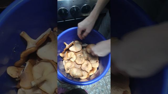🙃🙃🙃🙃 смотреть онлайн