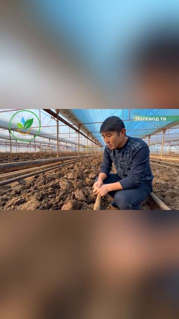 ПОДГОТОВКА ПОЧВЫ В ТЕПЛИЦЕ! #short #shorts #теплица
