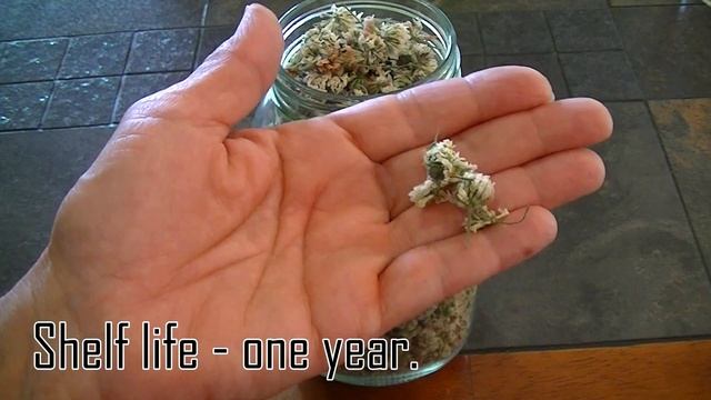 Dehydrating White Clovers смотреть онлайн