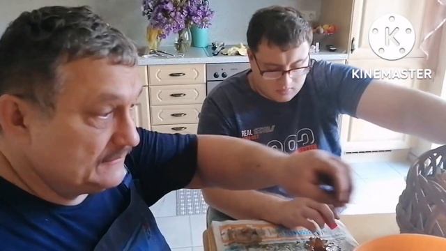 осенний лес и его дары смотреть онлайн