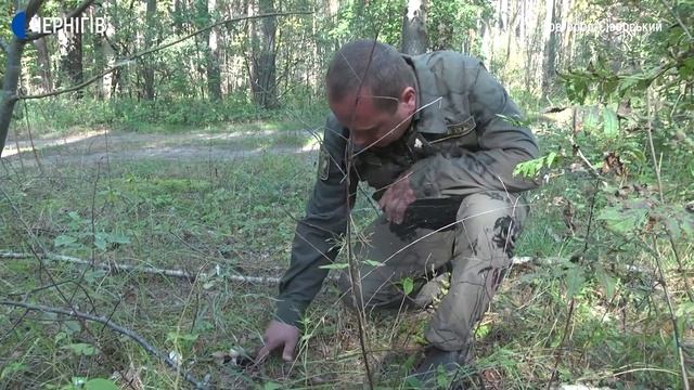 Найотруйніший гриб Полісся: який має вигляд та де росте смотреть онлайн