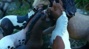 КАЙТО - серия 1 | Сериал Шляйх (Schleich)