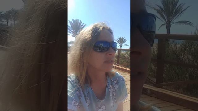 Из России в Испанию с собакой. Часть 6я смотреть онлайн