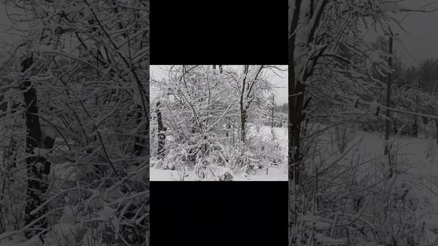 с небес на землю... смотреть онлайн