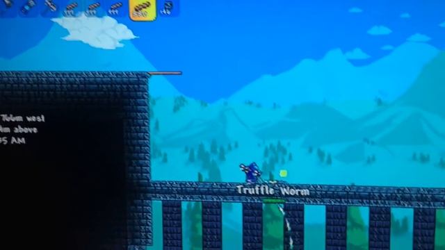 Terraria-truffle worm glitch смотреть онлайн