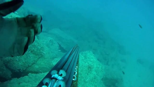 G.skoullos 2020, seabass - caranx смотреть онлайн