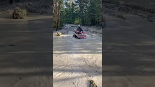 Арктик кэт 450 не проехал :(