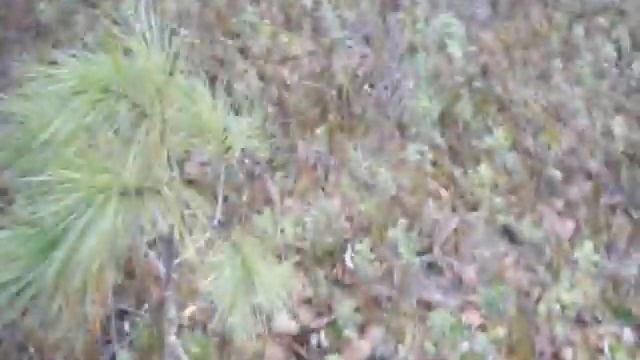 ИзображениеПапка4 354 смотреть онлайн