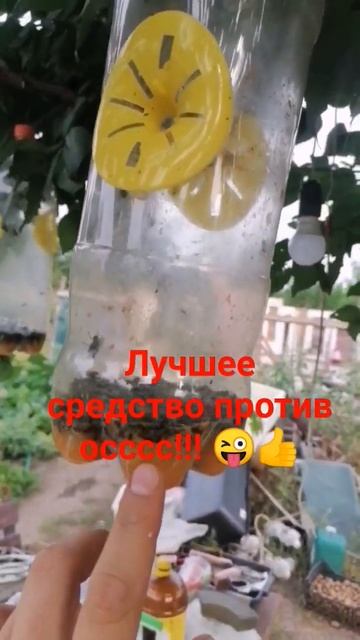 средствоотосс#противосс#отос#осы#какизбавитьсяотос#противмух#отмух#какизбавиться#ozon#обзор#валбери смотреть онлайн