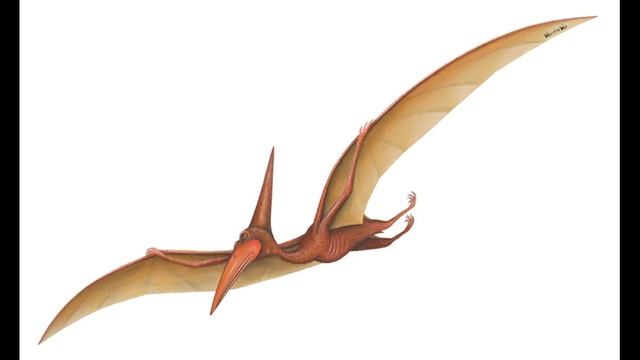 Dying Pterodactyl Sound смотреть онлайн
