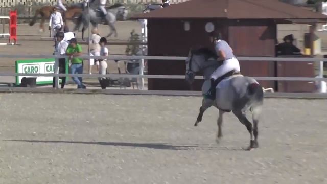 WCE FALCO - Lucinda Roche - Bronze 4 - 1,40m - Valencia (01.11.2014) смотреть онлайн