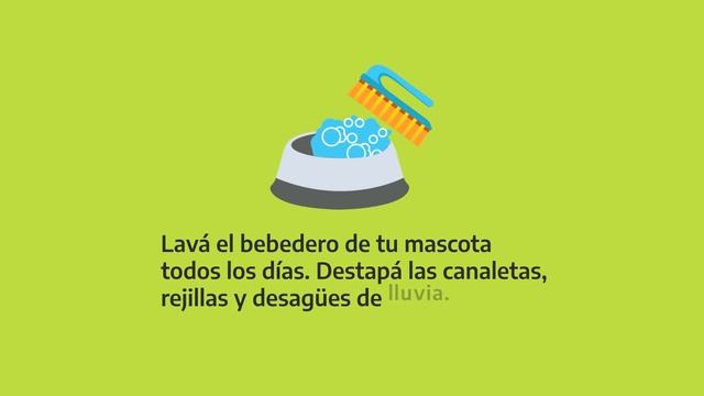 Campaña de prevención del dengue смотреть онлайн