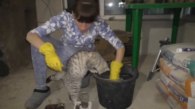 Я этого Кристине не прощу ! смотреть онлайн
