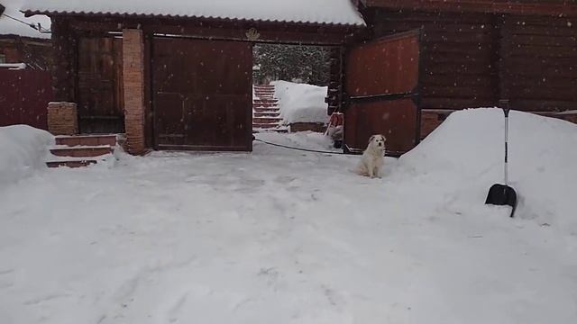 Снежный амаргедец в Середнево. смотреть онлайн