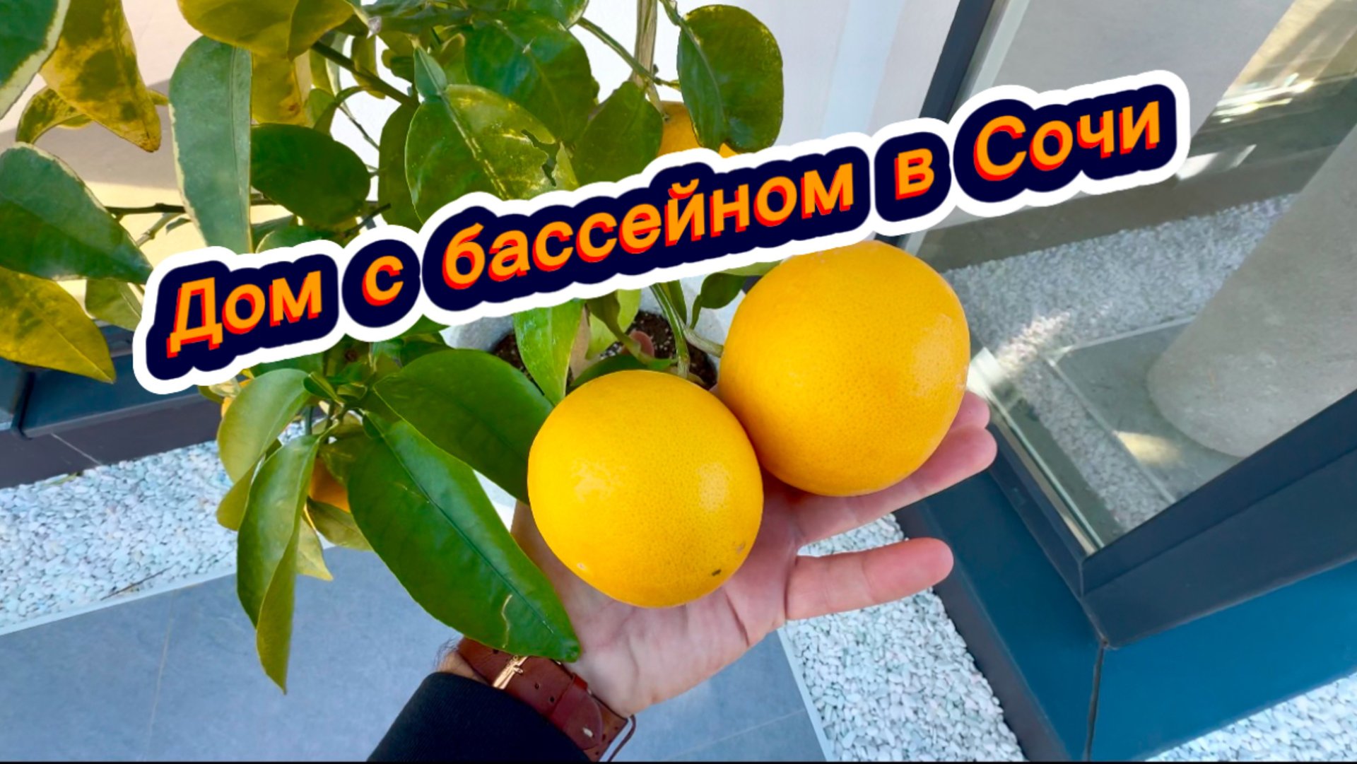 Дом с большим участком земли. Дом с бассейном в Сочи. Красивые дома в Сочи смотреть онлайн