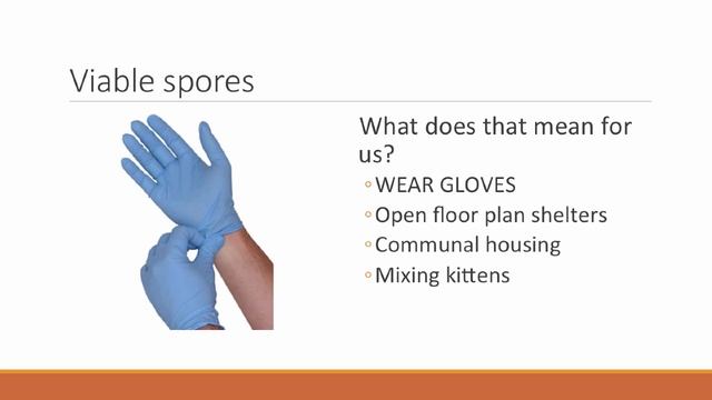 Ringworm Problem Solving for Shelter Medical Staff - conference recording смотреть онлайн
