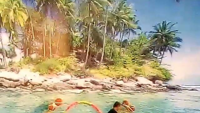5июля 2017 Блог:морские котики и дельфины))! смотреть онлайн