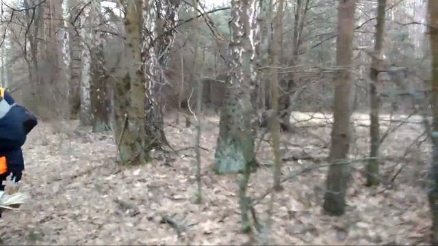 Январские грибы