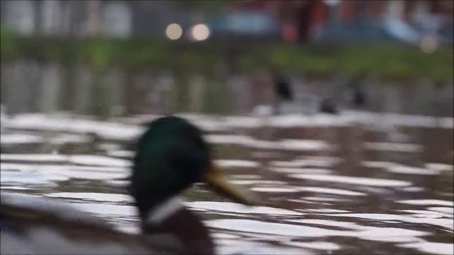 будни смотреть онлайн