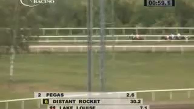 Trial Stakes 2012-Ebreichsdorf-Pegas(DS Pegas)-Gary Hind