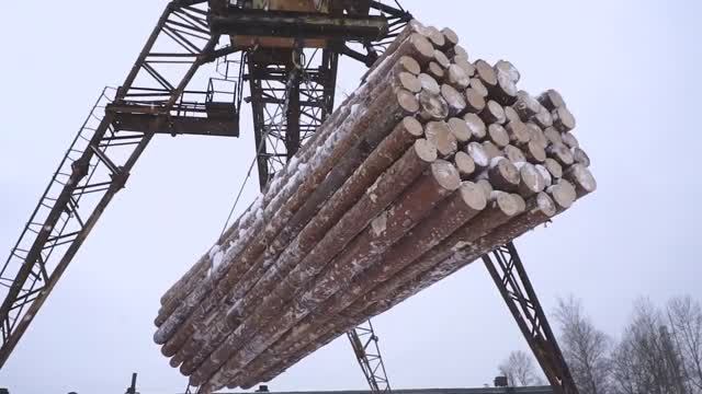 Производство смотреть онлайн