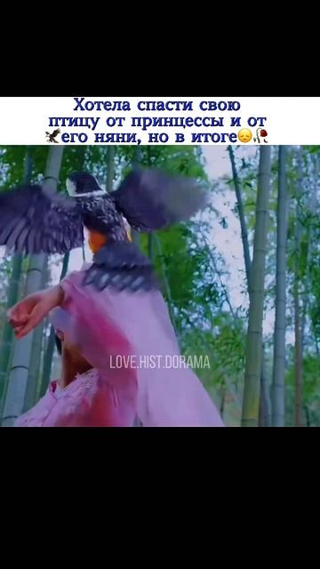 Хотела спасти свою птицу от принцессы и от его няни, но в итоге🥀/Дорам: Любовь на две эпохи