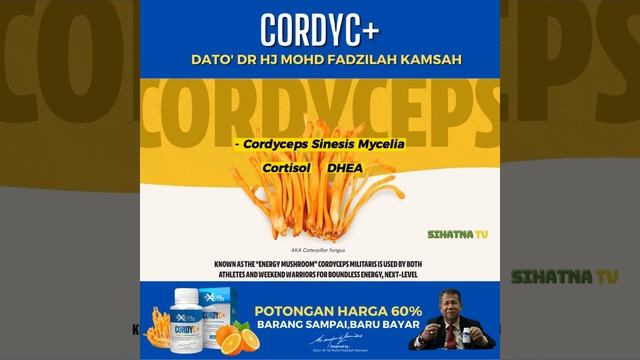 Apa Itu Cordyceps Militaris