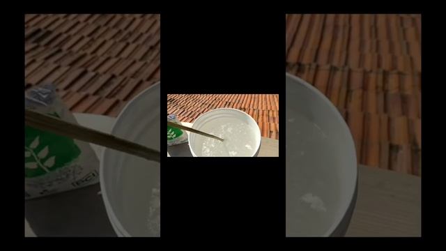 Use of trichoderma in organic farming смотреть онлайн