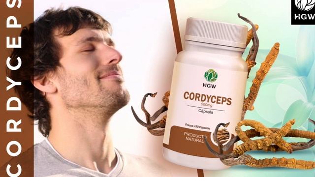 𝑬𝑳 𝑯𝑶𝑵𝑮𝑶 𝑷𝑨𝑹𝑨 𝑳𝑶𝑺 𝑫𝑬𝑷𝑶𝑹𝑻𝑰𝑺𝑻𝑨𝑺 𝑪𝑨𝑷𝑺𝑼𝑳𝑨𝑺 𝑫𝑬 𝑪𝑶𝑹𝑫𝒀𝑪𝑬𝑷𝑺 𝑯𝑮𝑾