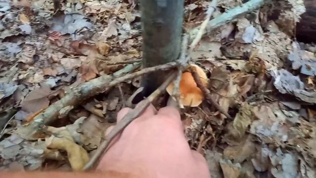 12 вересня 2023 - 