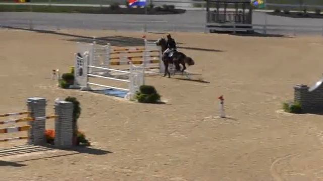 727, SPIRIT OF ALENA 508, $20 000 7 8 YEAR OLD YOUNG JUMPER смотреть онлайн