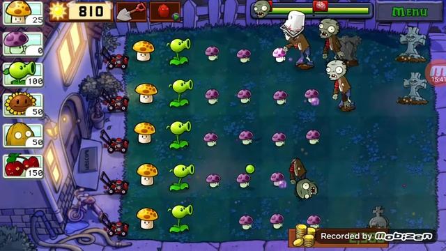 грибы и антигробовщик